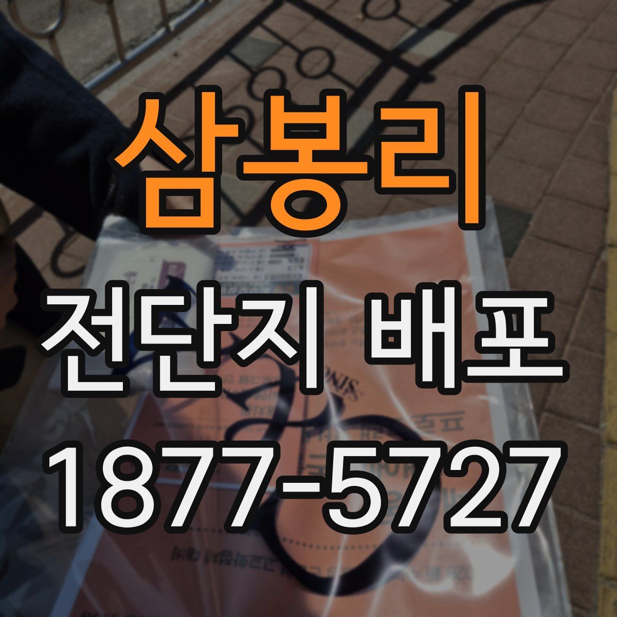 삼봉리 전단지 배포
