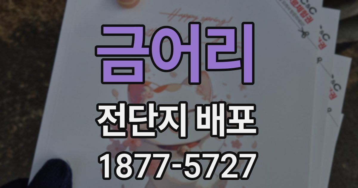 금어리 전단지 배포