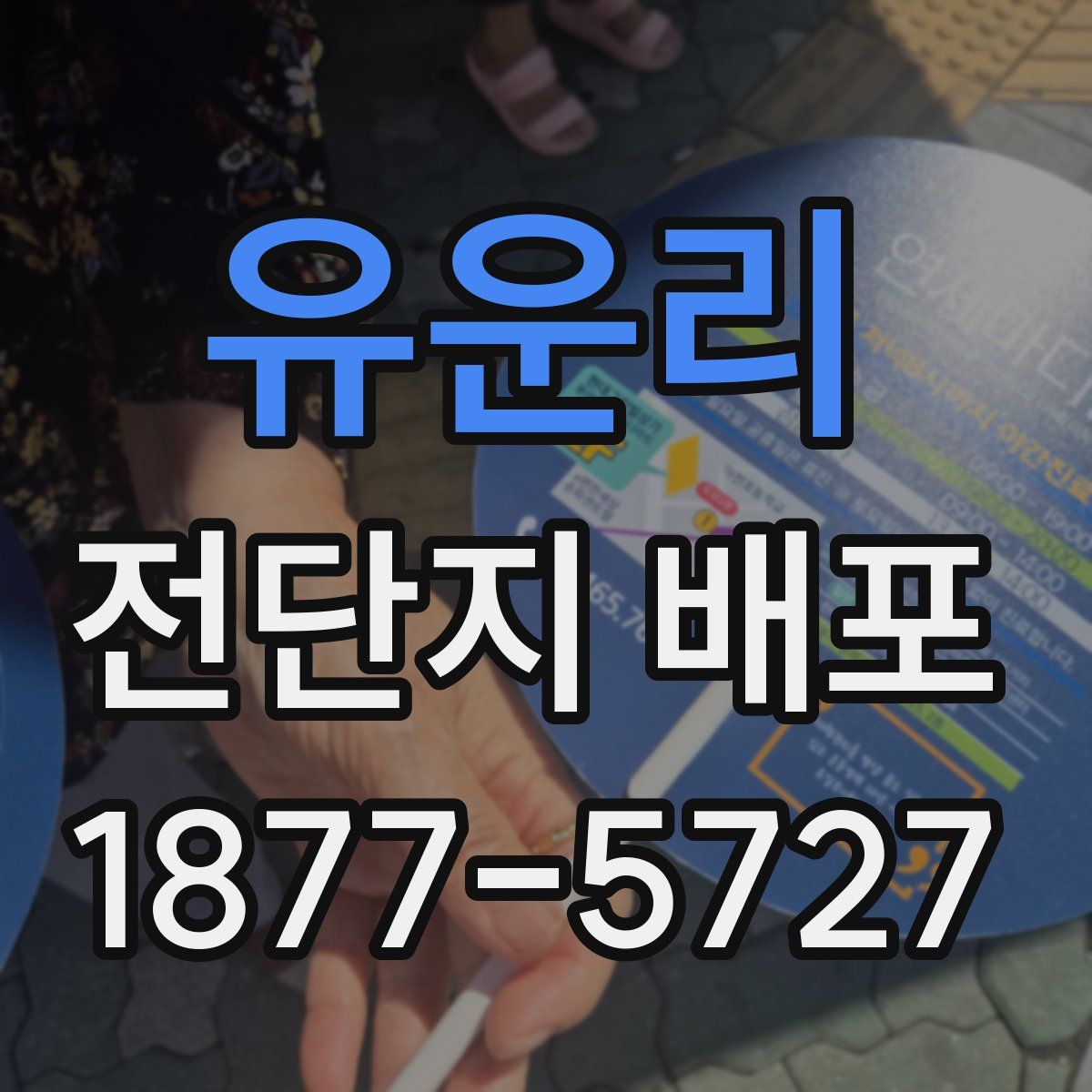 유운리 전단지 배포