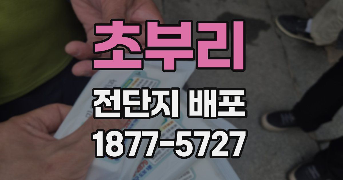 초부리 전단지 배포