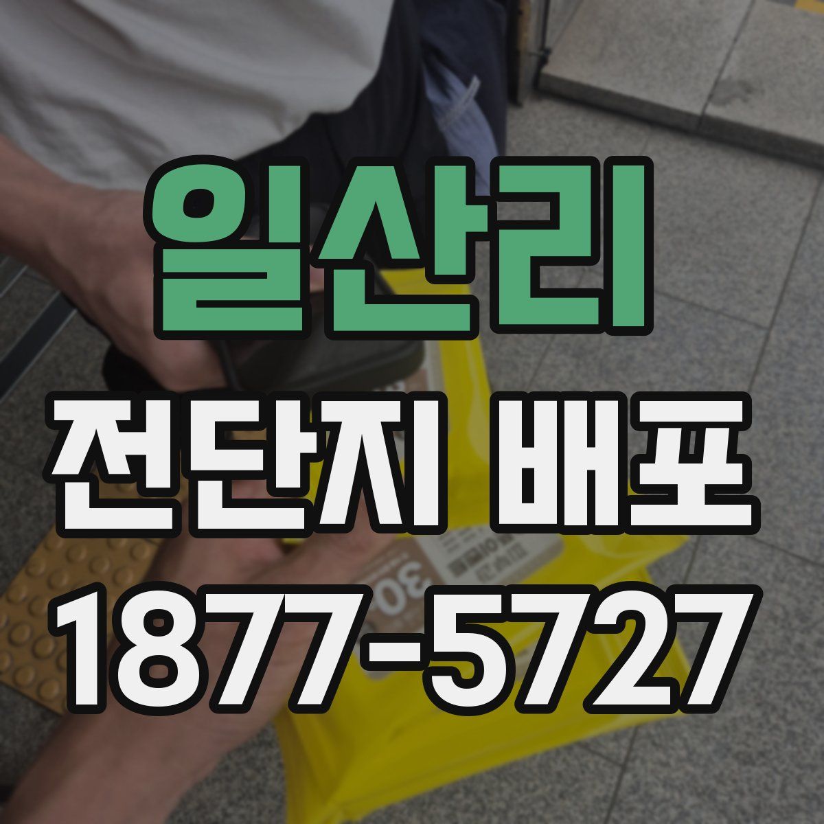 일산리 전단지 배포