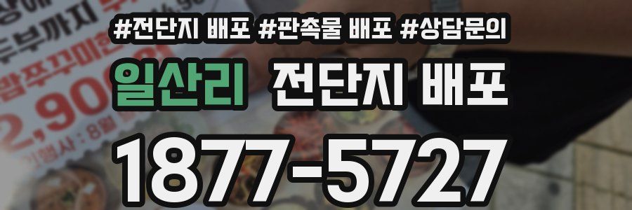 일산리 전단지 배포