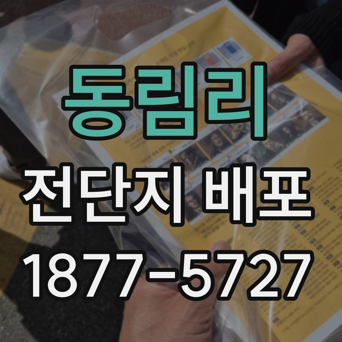 동림리 전단지 배포