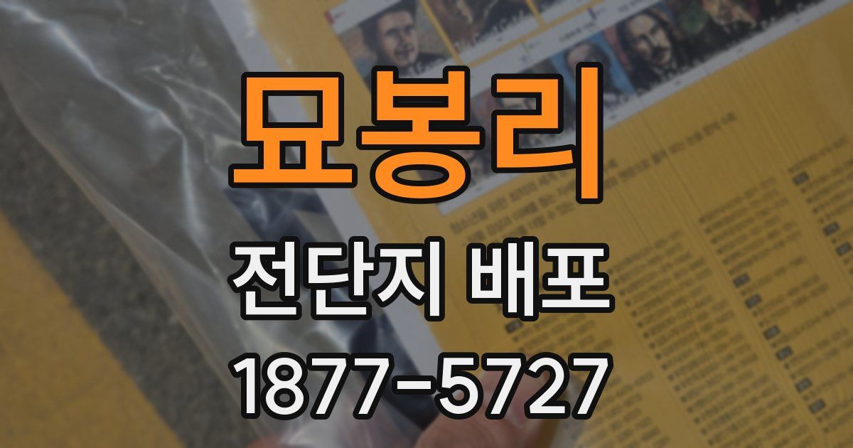 묘봉리 전단지 배포