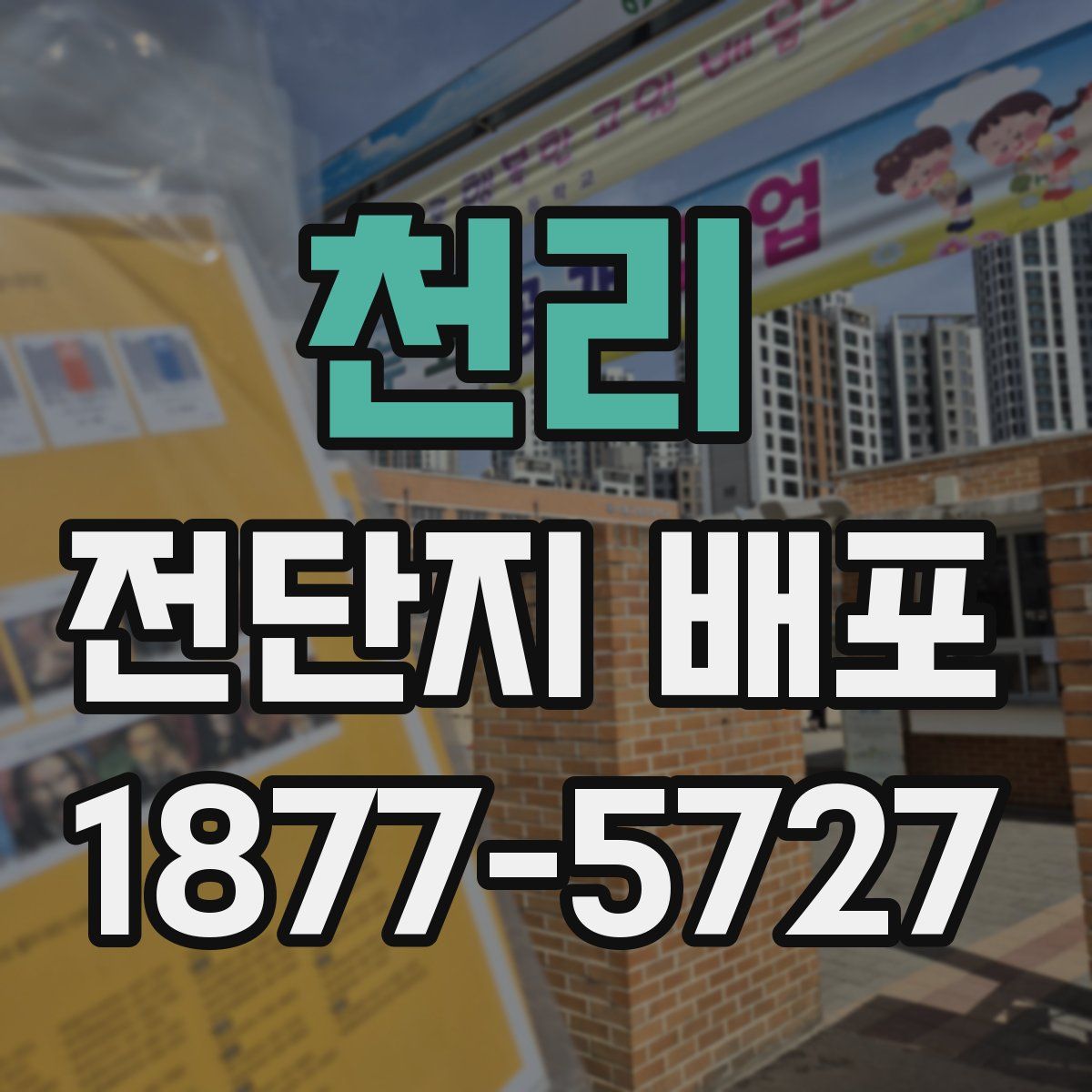 천리 전단지 배포