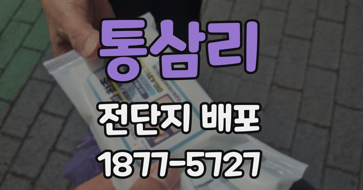 통삼리 전단지 배포