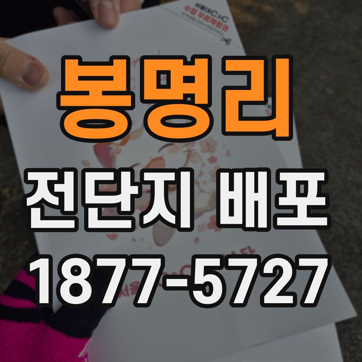봉명리 전단지 배포