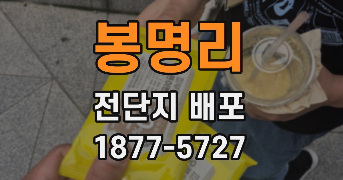 봉명리 전단지 배포