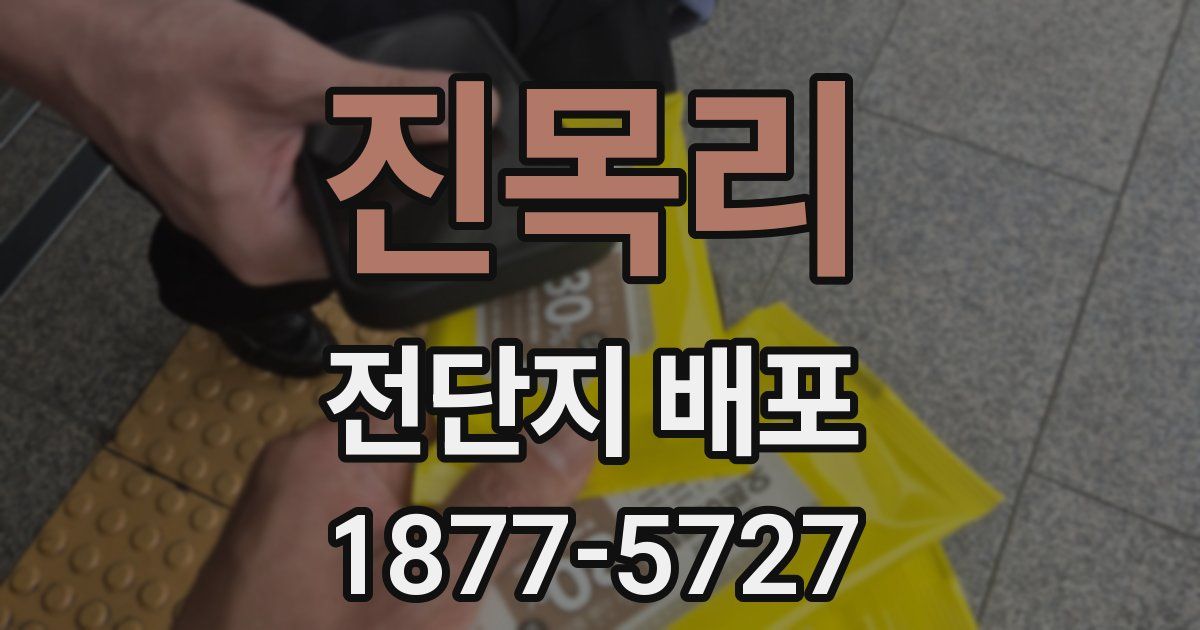 진목리 전단지 배포