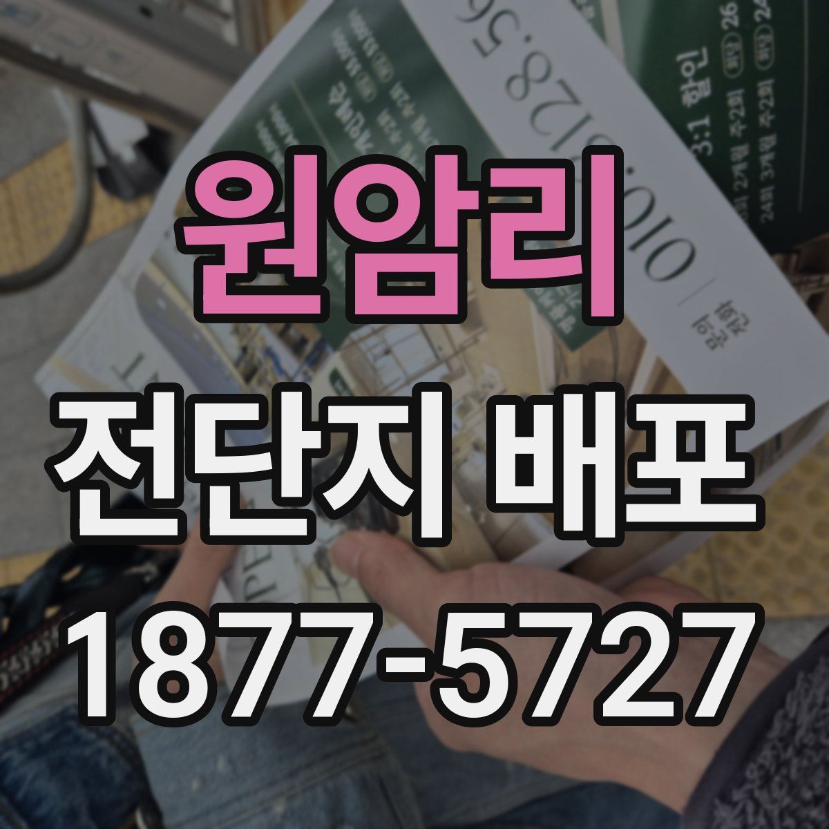 원암리 전단지 배포