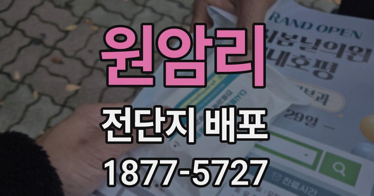 원암리 전단지 배포