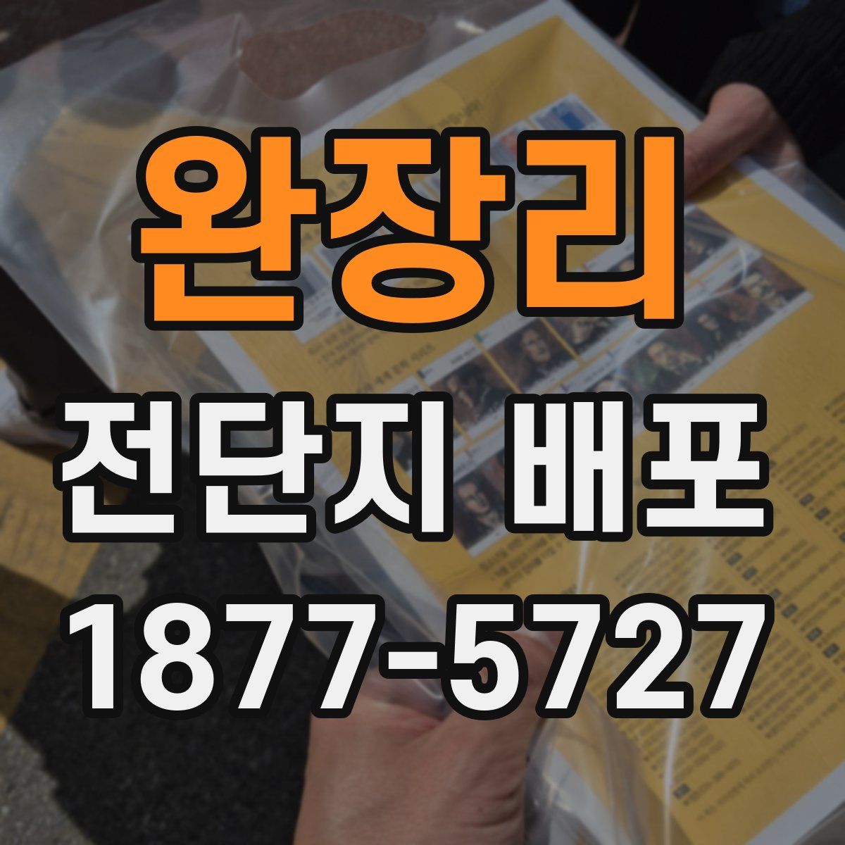 완장리 전단지 배포
