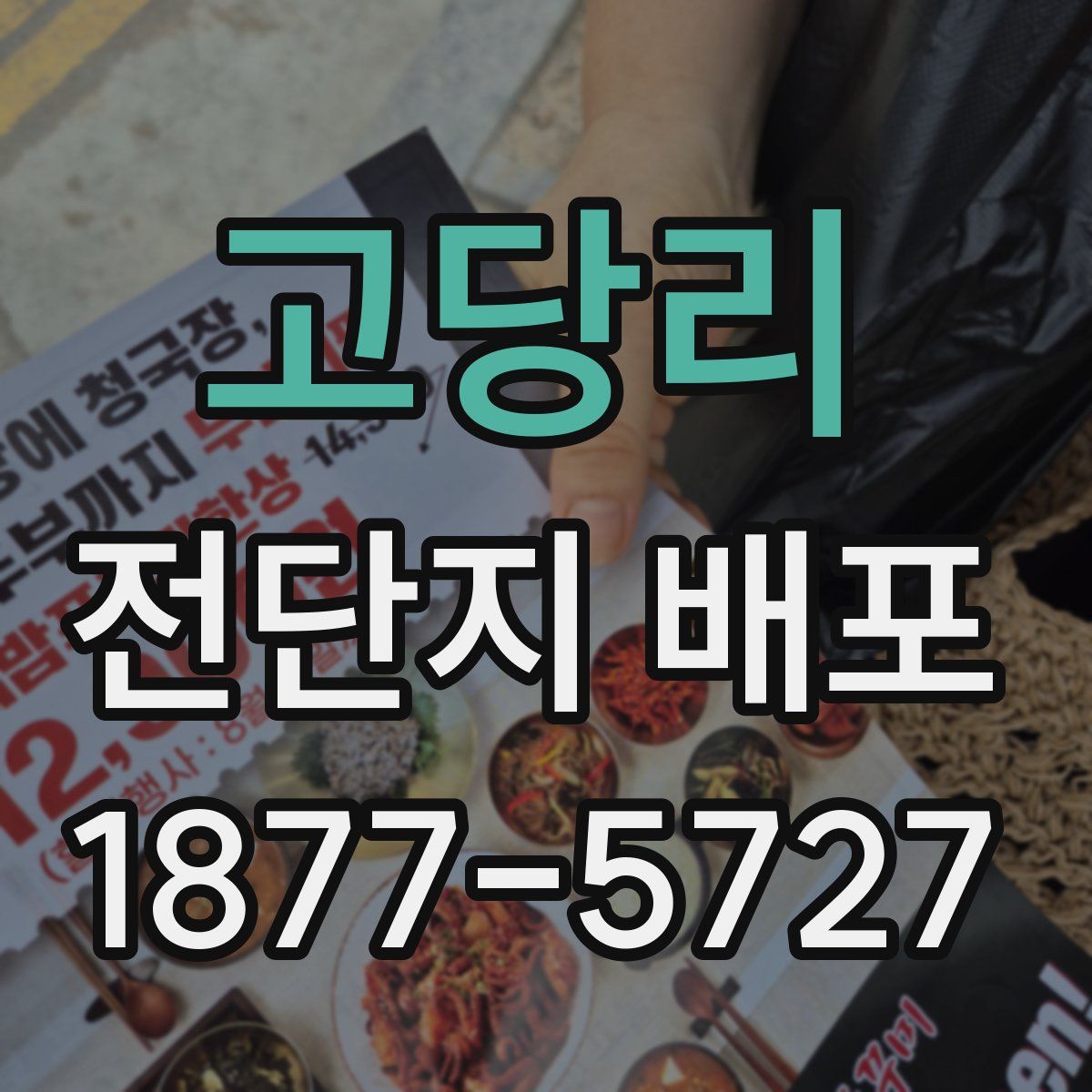 고당리 전단지 배포
