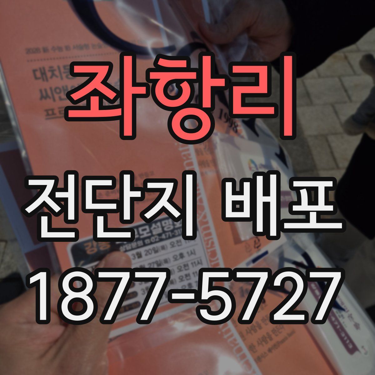 좌항리 전단지 배포