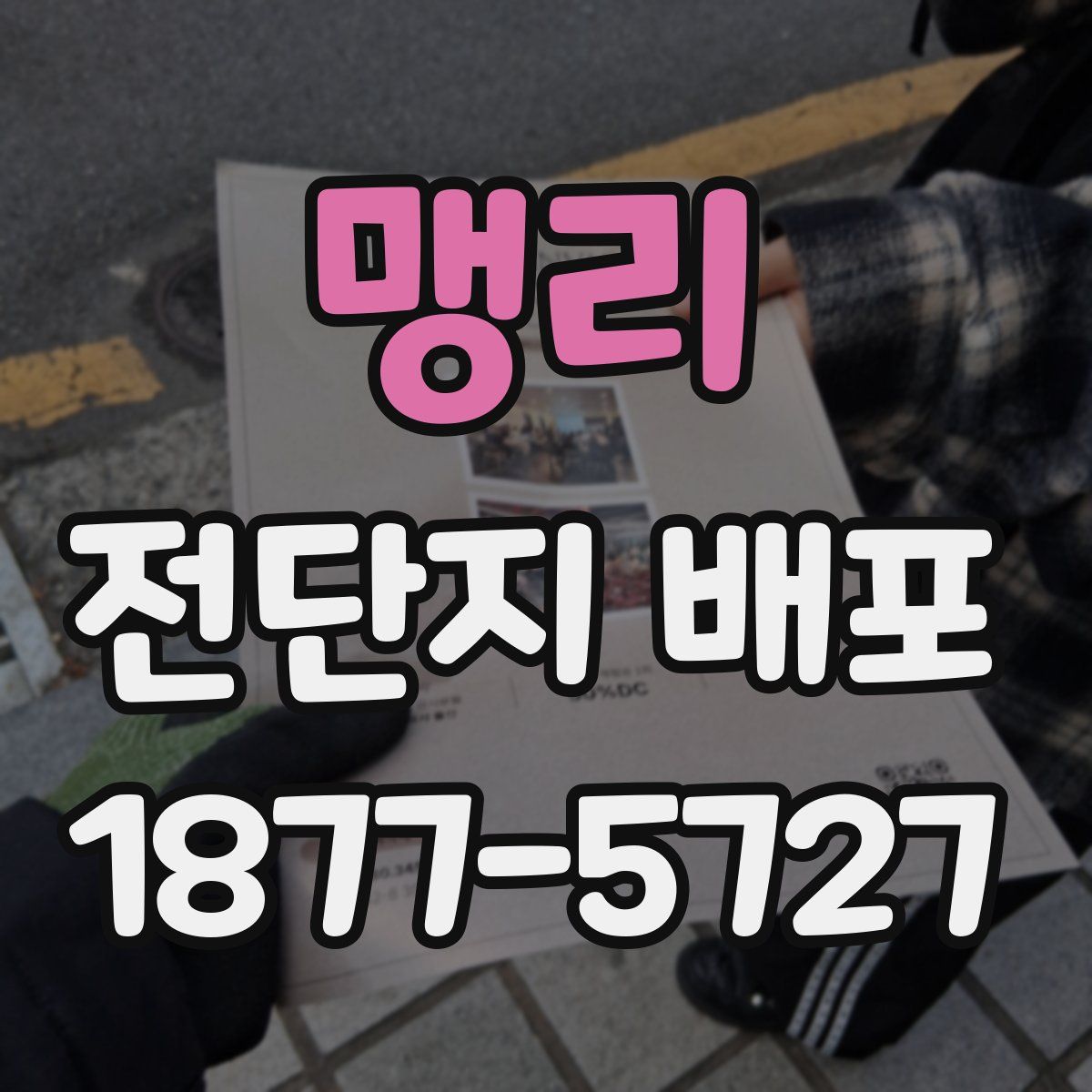 맹리 전단지 배포