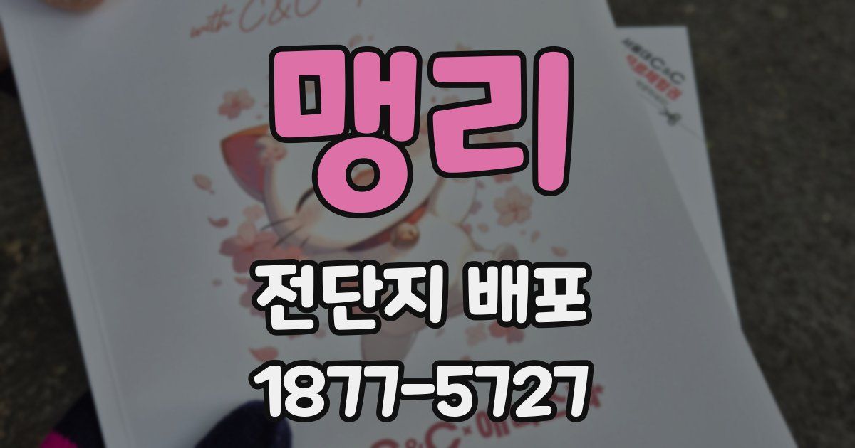 맹리 전단지 배포