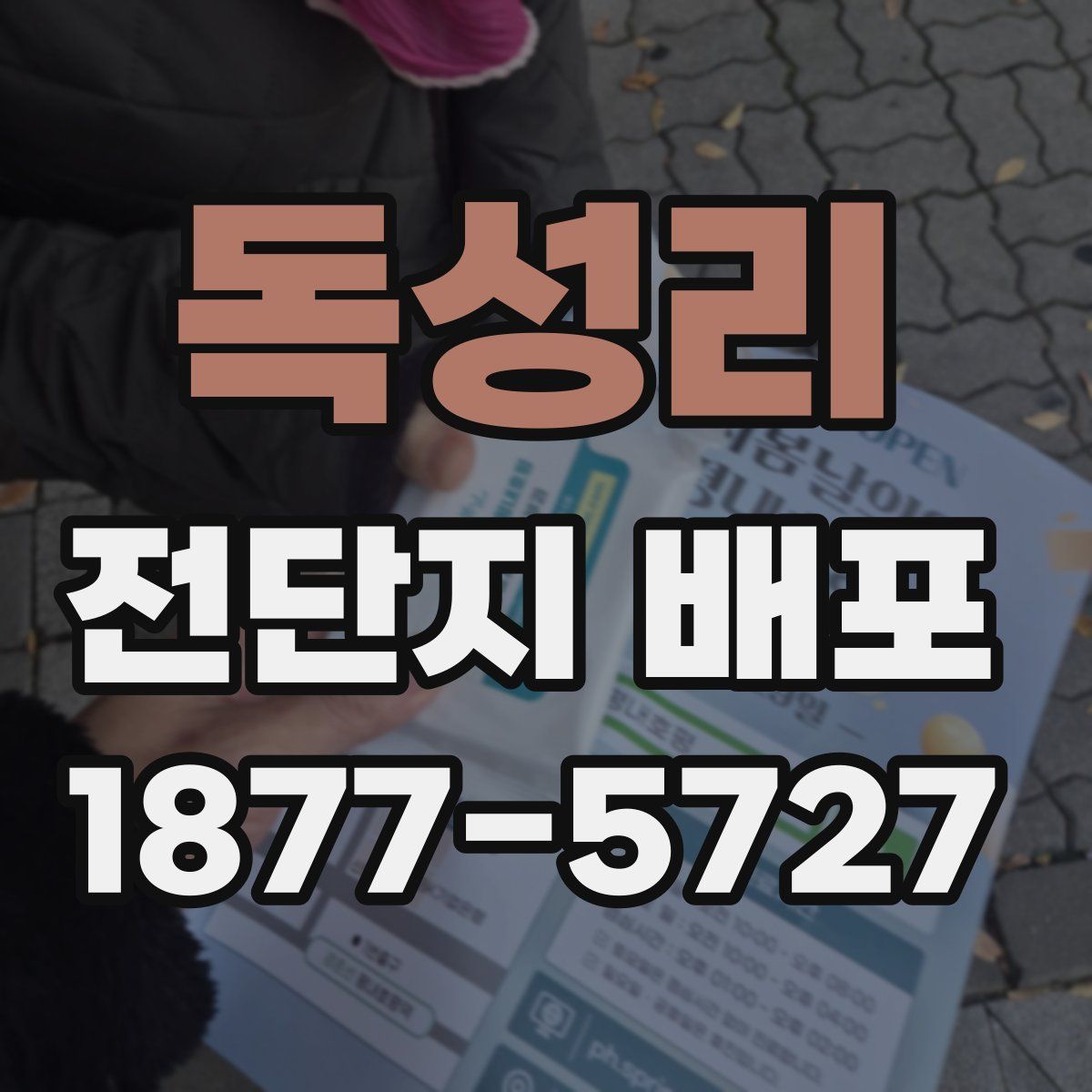 독성리 전단지 배포