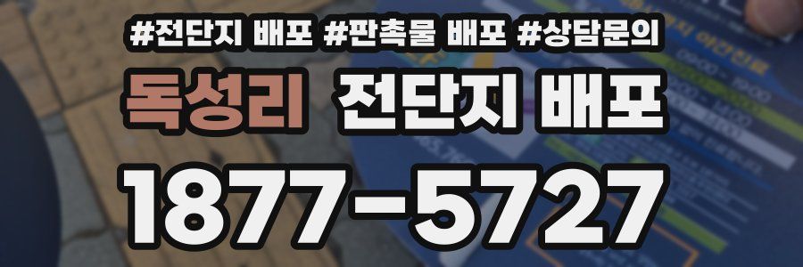 독성리 전단지 배포
