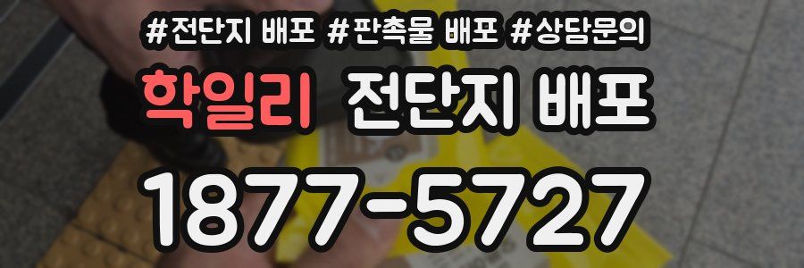 학일리 전단지 배포