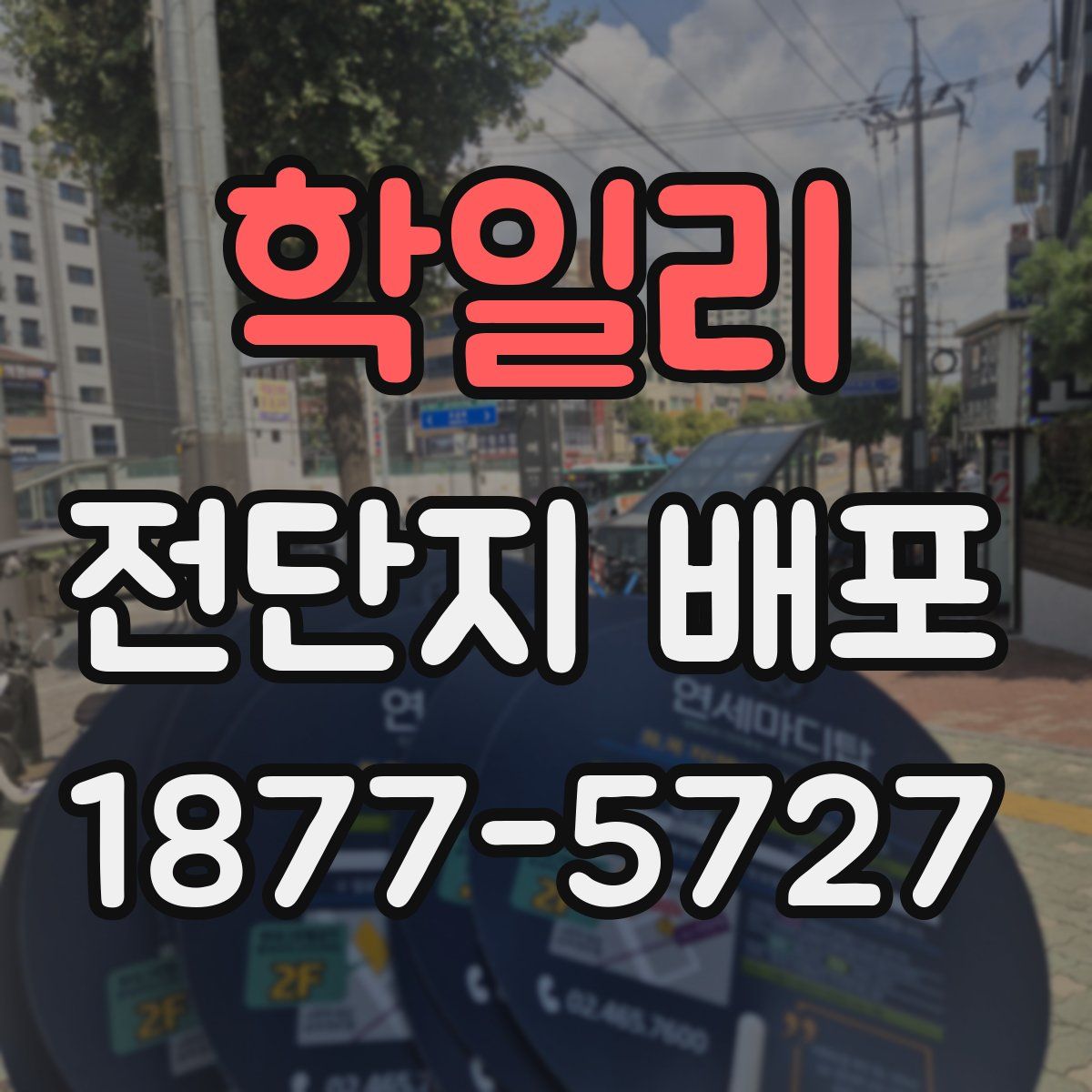 학일리 전단지 배포