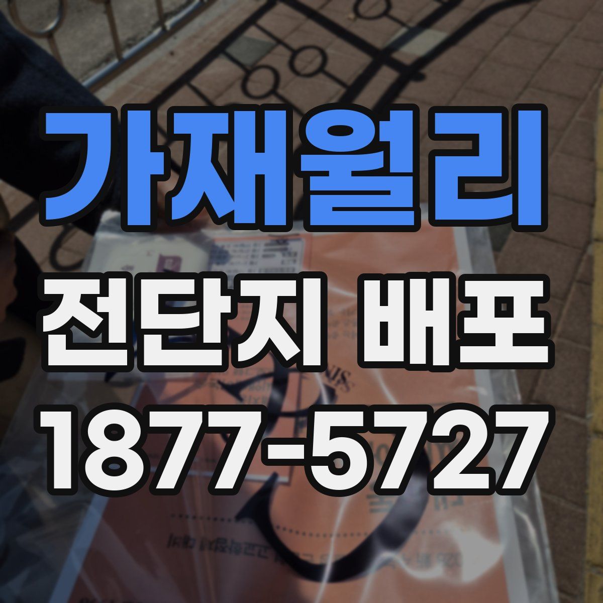 가재월리 전단지 배포