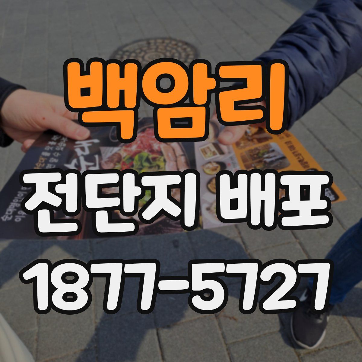 백암리 전단지 배포