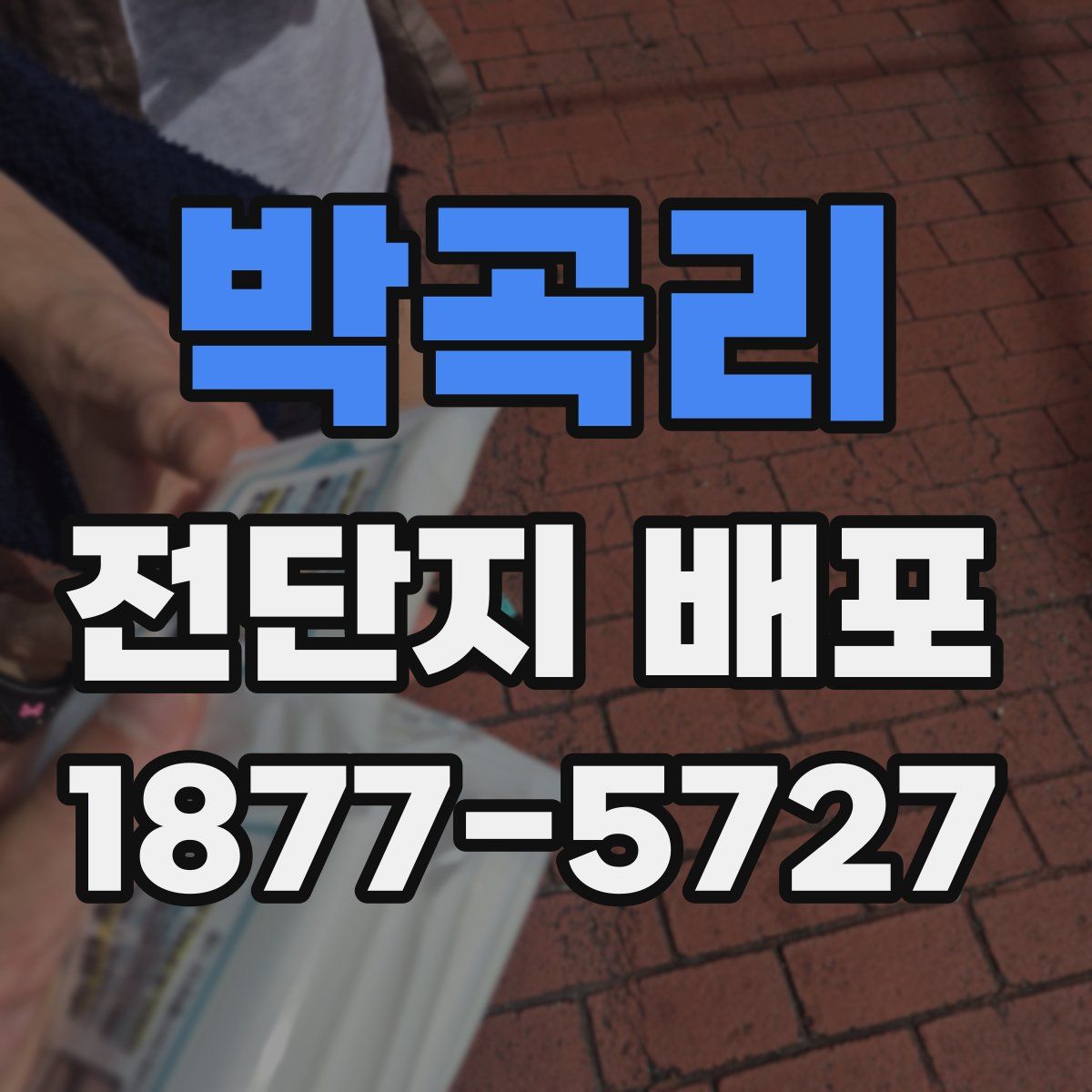 박곡리 전단지 배포