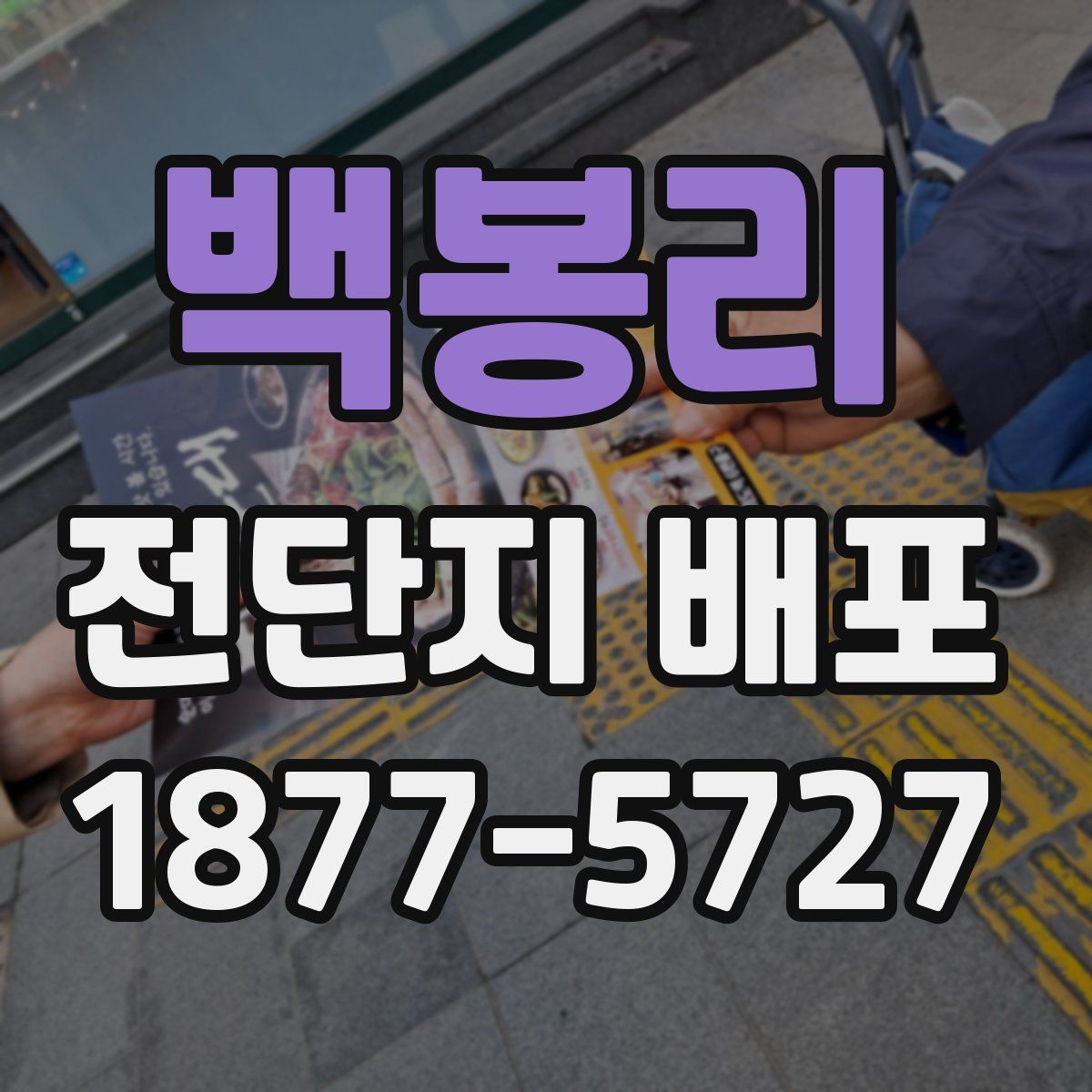 백봉리 전단지 배포