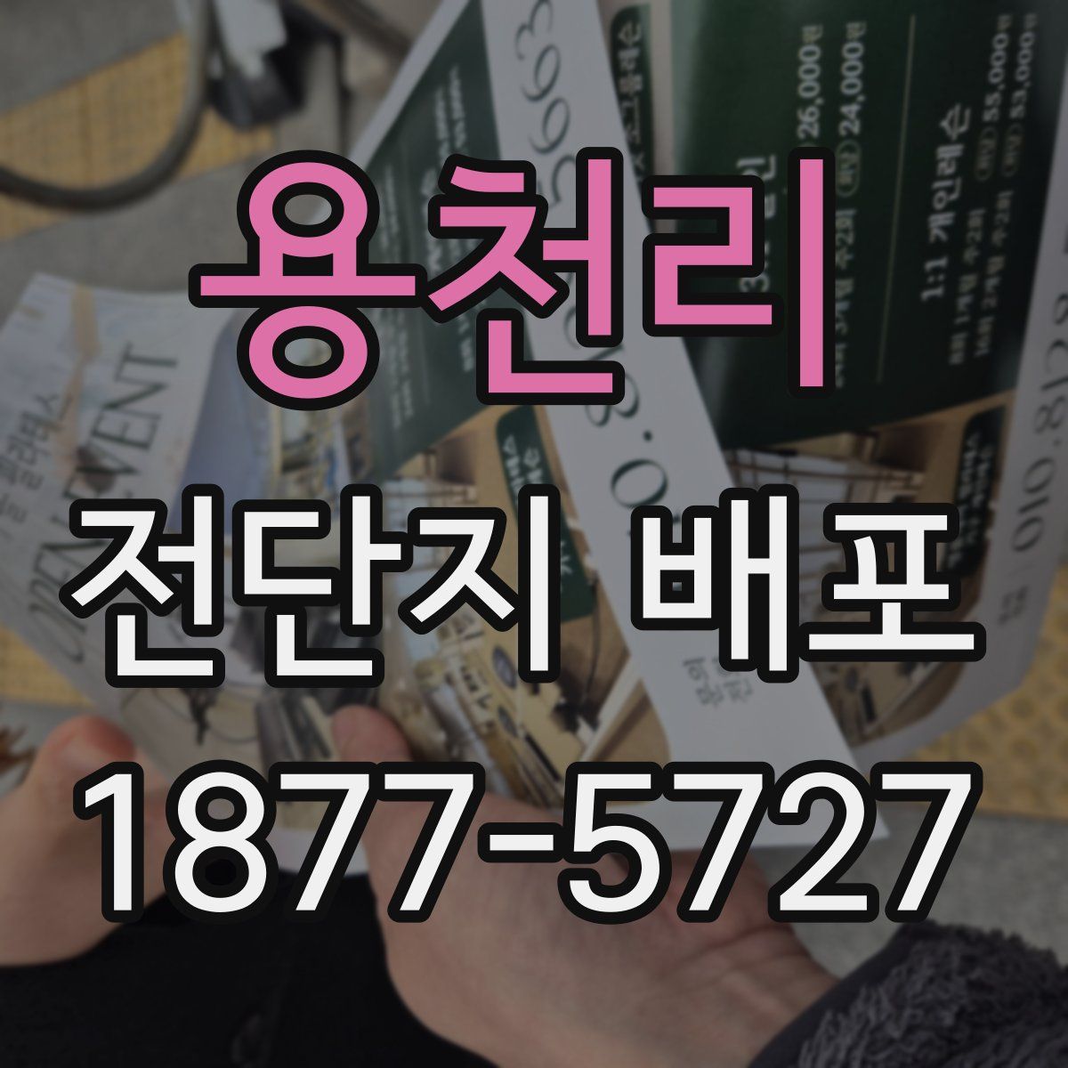 용천리 전단지 배포