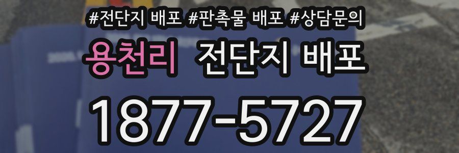용천리 전단지 배포