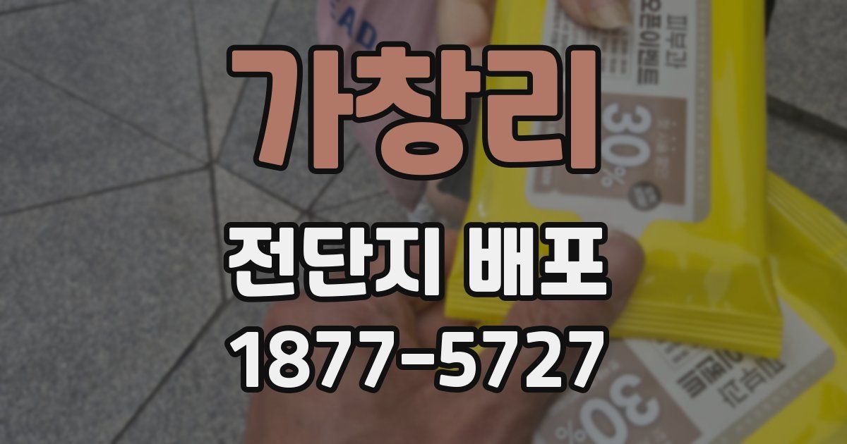 가창리 전단지 배포