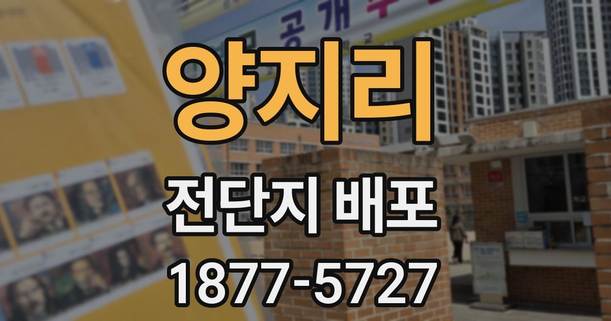 양지리 전단지 배포