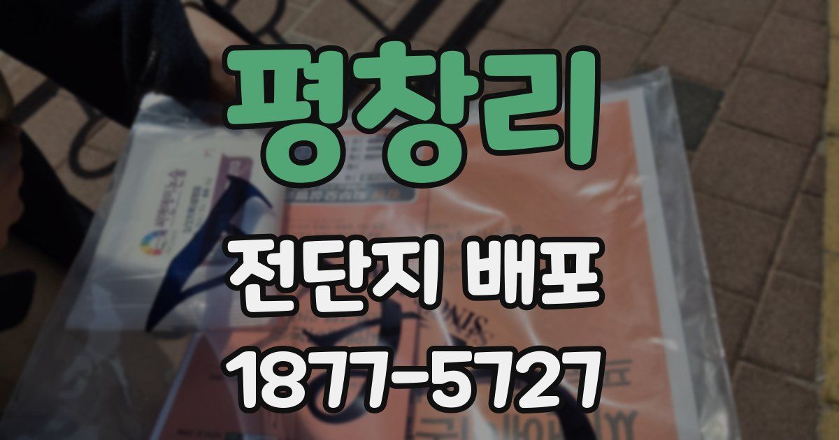 평창리 전단지 배포