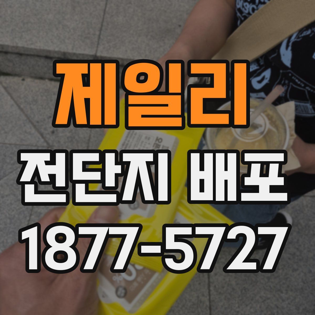 제일리 전단지 배포