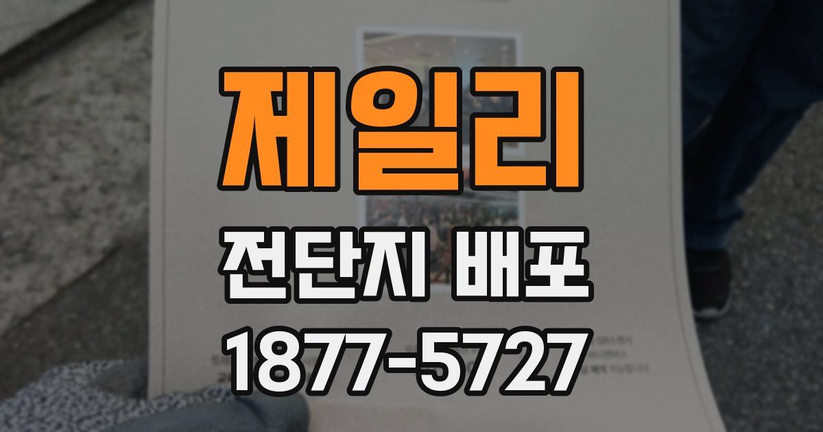 제일리 전단지 배포
