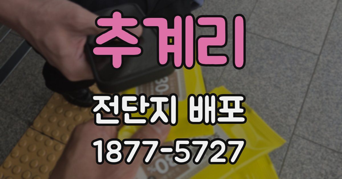 추계리 전단지 배포