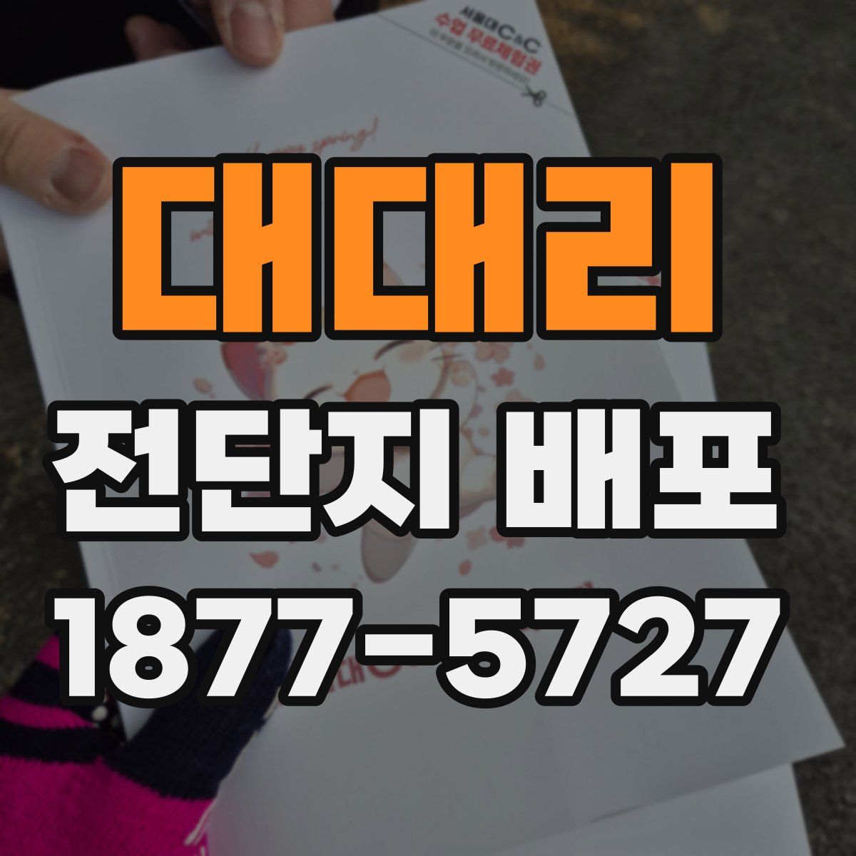 대대리 전단지 배포