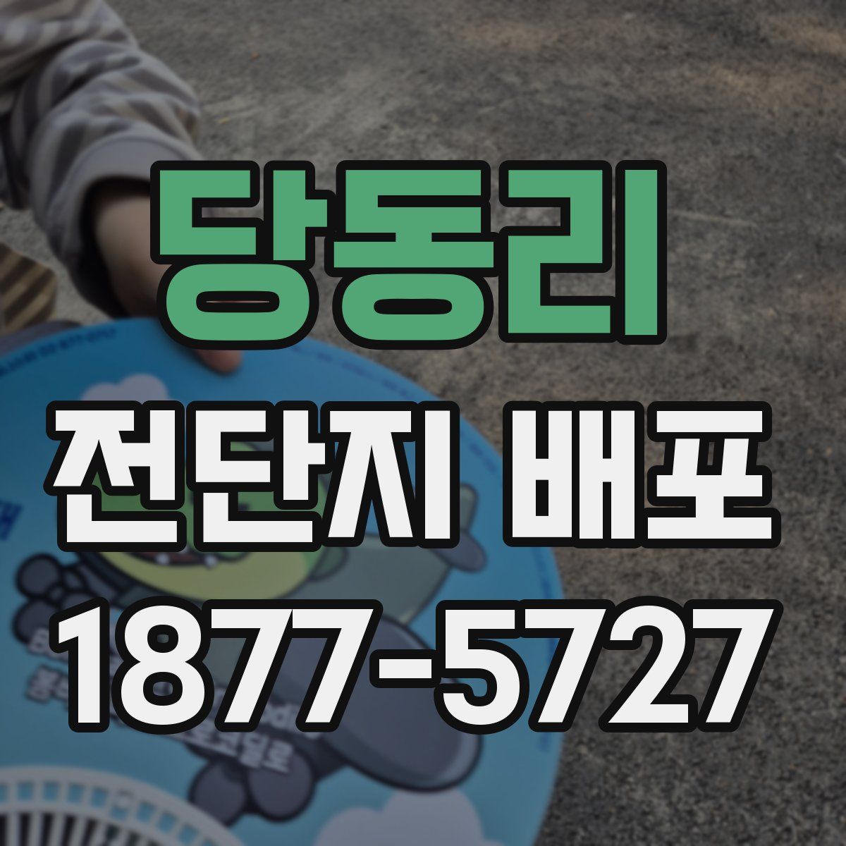 당동리 전단지 배포
