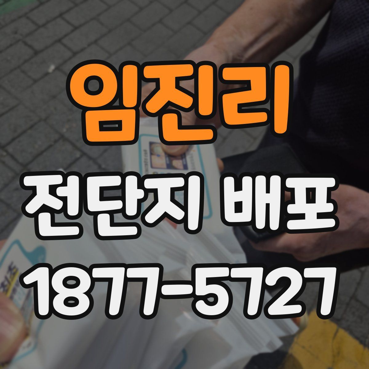 임진리 전단지 배포