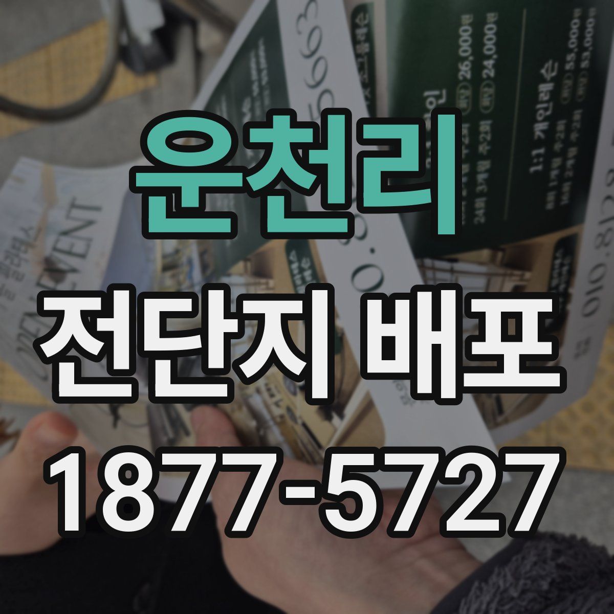 운천리 전단지 배포