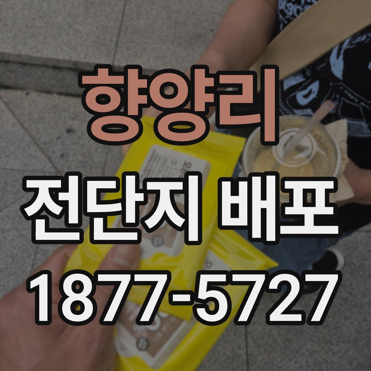 향양리 전단지 배포