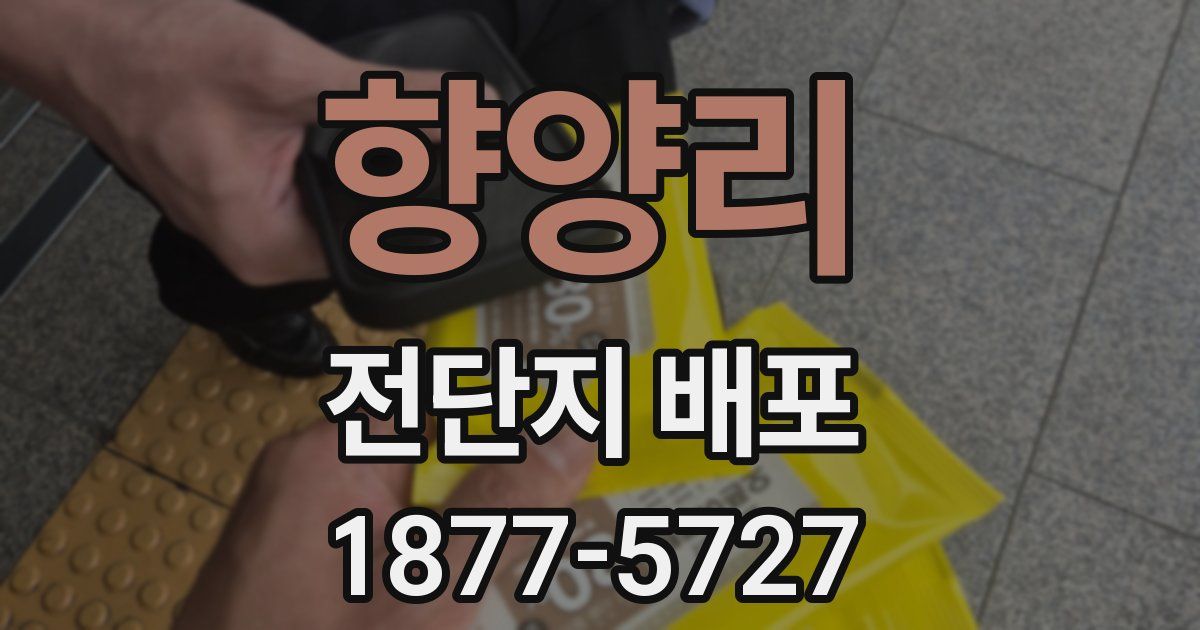 향양리 전단지 배포
