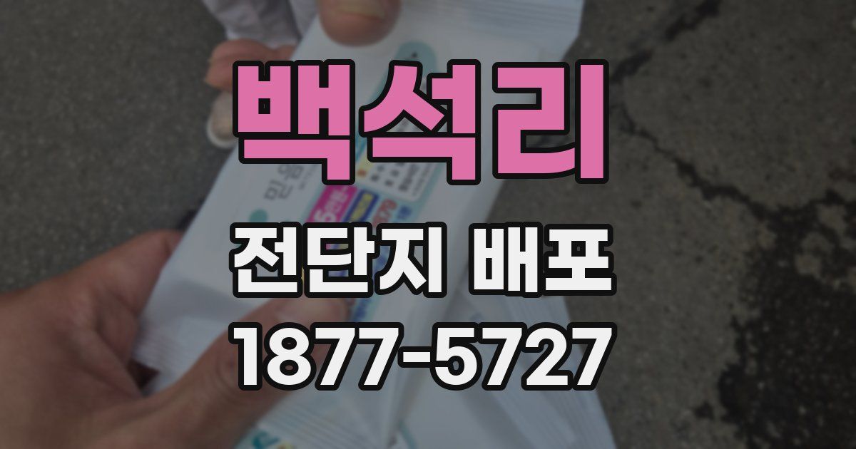 백석리 전단지 배포