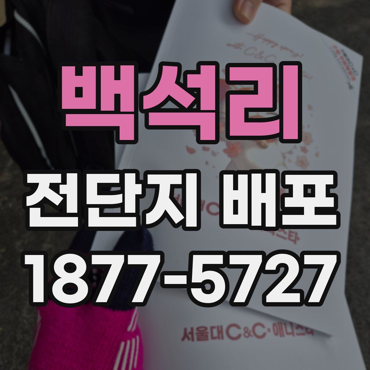 백석리 전단지 배포