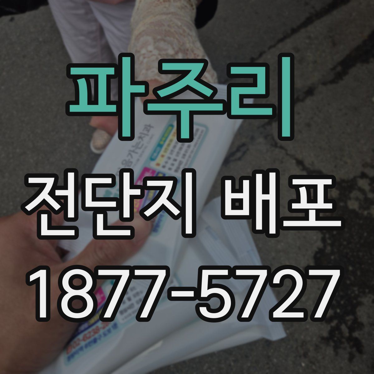 파주리 전단지 배포