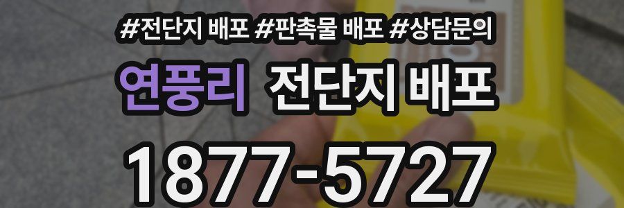 연풍리 전단지 배포