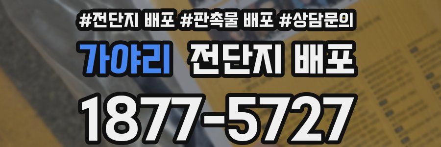 가야리 전단지 배포