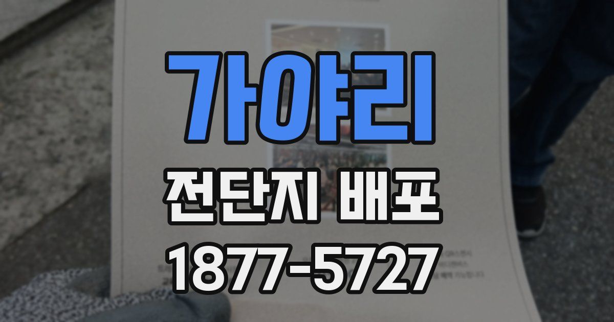 가야리 전단지 배포
