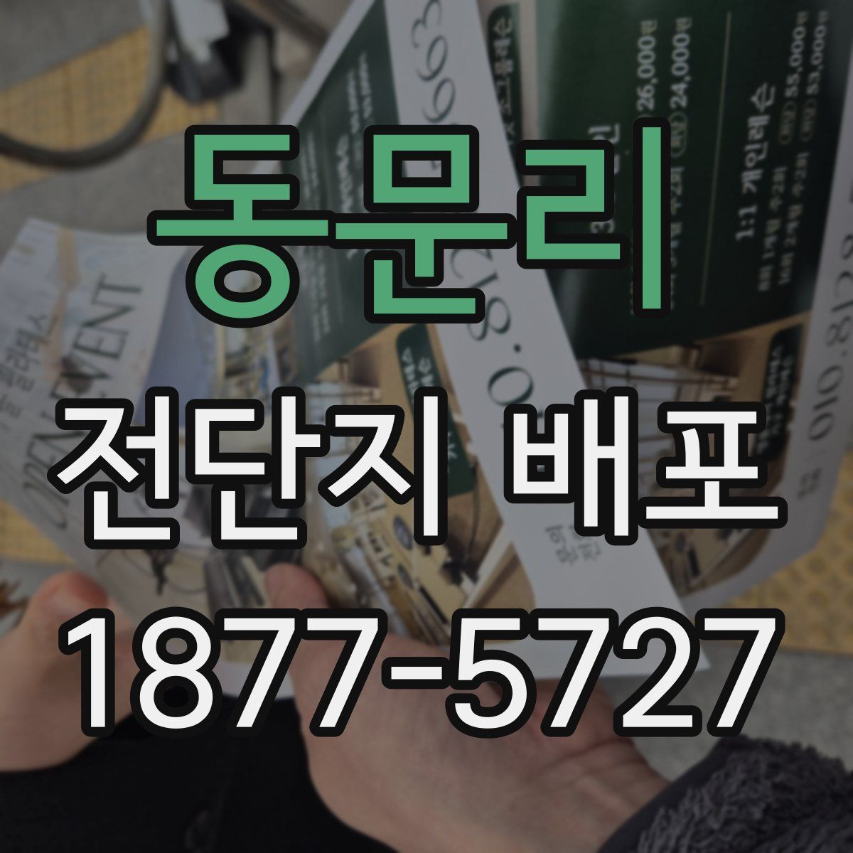 동문리 전단지 배포