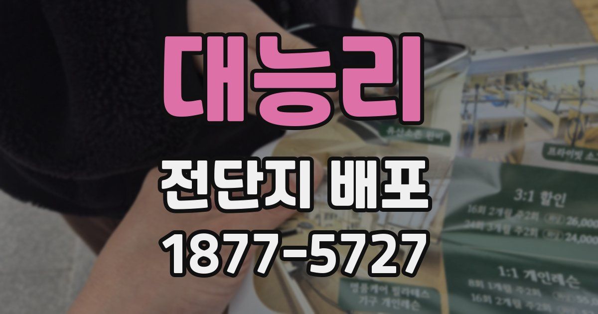 대능리 전단지 배포